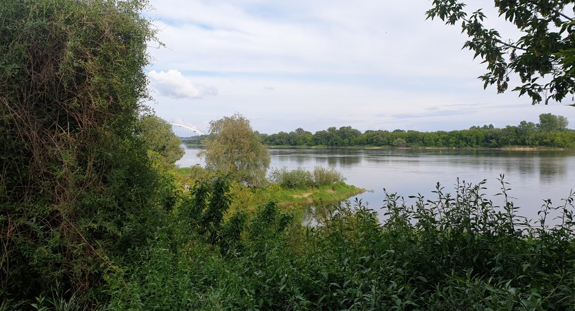 fot. Oto Toruń