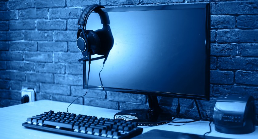 Monitor w domu
