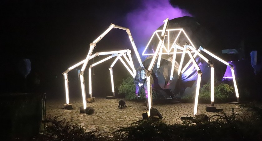 Jedna z instalcji podczas 13. Bella Skyway Festiwal w Toruniu, fot. Mateusz Białczyk