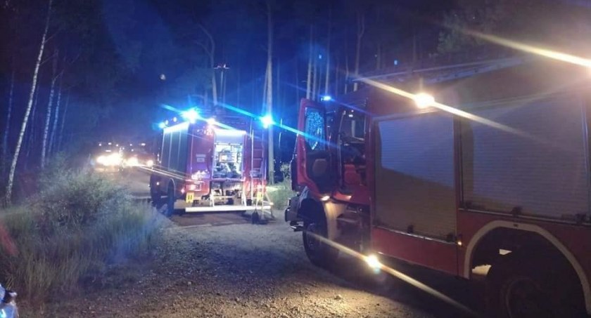 Podpalacz narobił duży szkód w podtoruńskich lasach, fot. PSP Toruń.