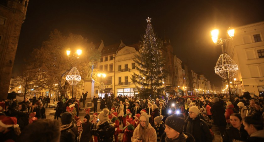 Fot. UM Toruń