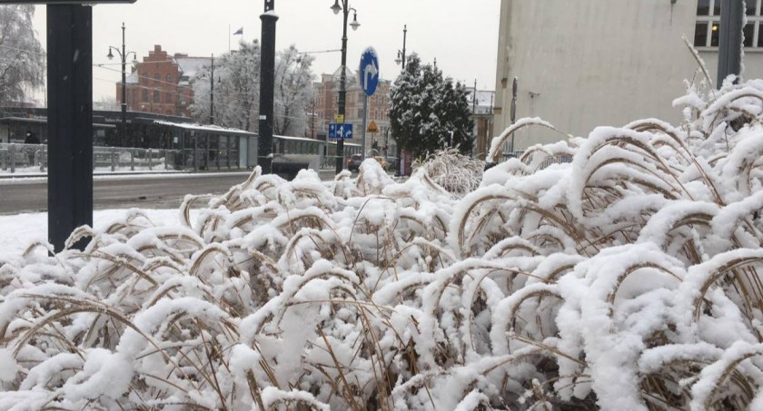 Fot. Filip Sobczak / ototorun.pl
