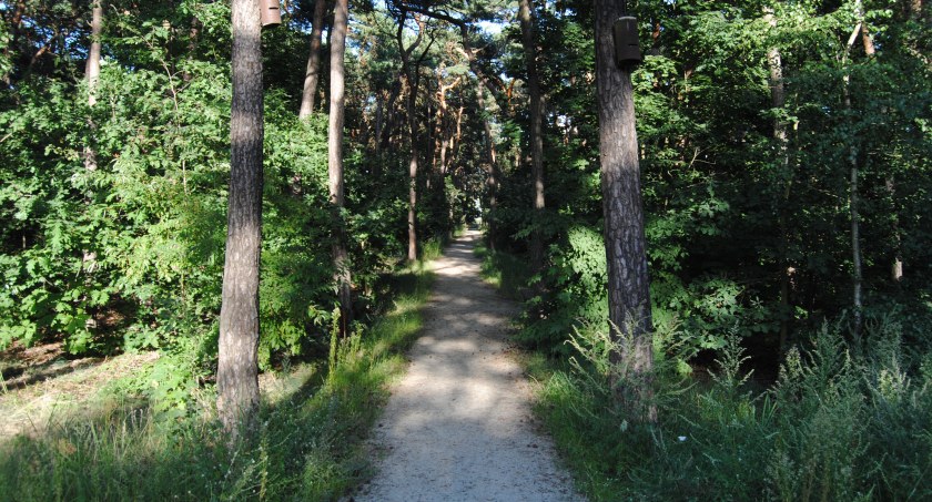 Fot. Bartosz Fryckowski / ototorun.pl