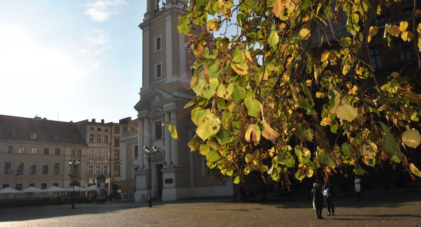 Fot. Bartosz Fryckowski / ototorun.pl