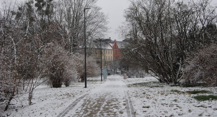 Fot. Bartosz Fryckowski / ototorun.pl