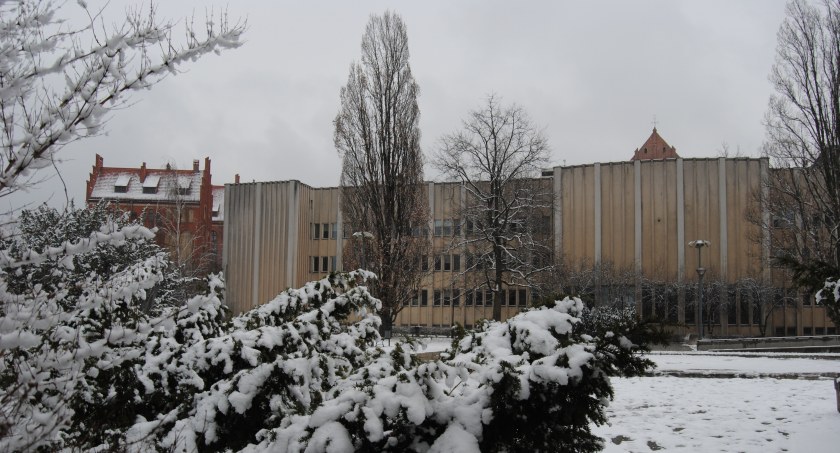 Fot. Bartosz Fryckowski / ototorun.pl