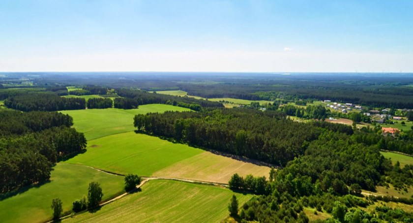 Gmina Obrowo, fot. foto.mkot.pl - Krzystof Majewski/UG Obrowo