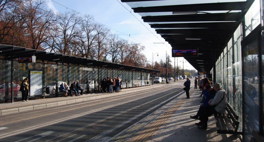 Fot. Bartosz Fryckowski / ototorun.pl