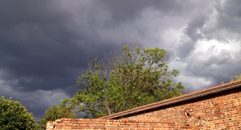 Fot. UM Toruń