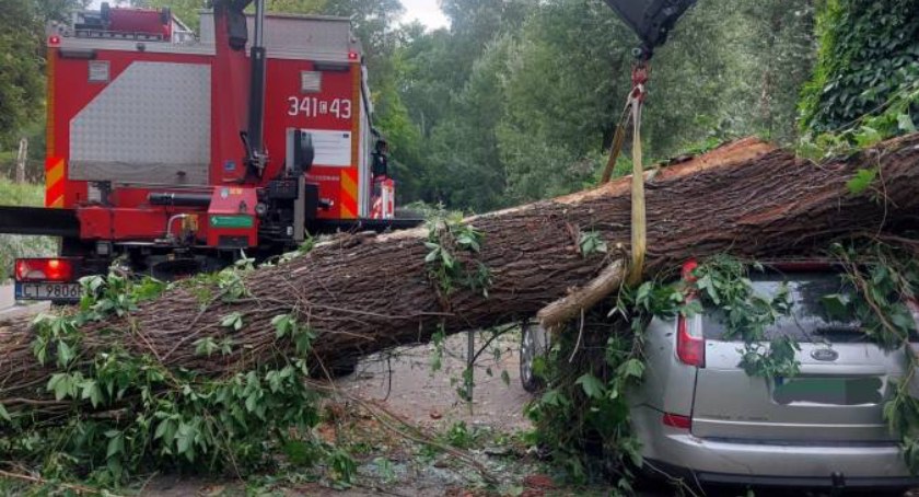 Skutki silnego wiatru w Toruniu, fot. Tomasz Krajnik/KM PSP Toruń, zdjęcia w galerii: Tomasz Krajnik i Jerzy Jastrzębski/KM PSP Toruń