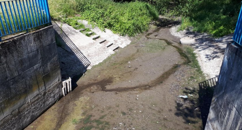 Fot. główne: pogadawtoruniu.pl
