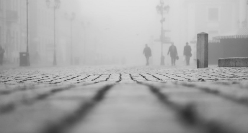 Fot. UM Toruń