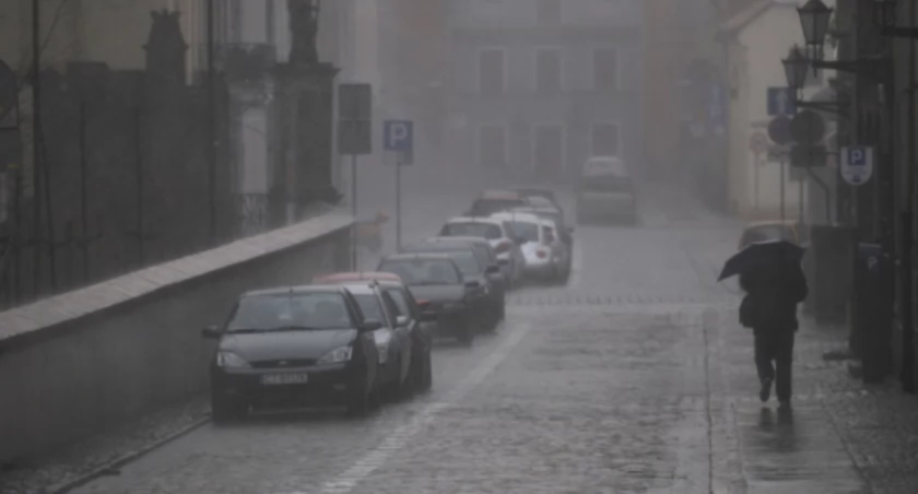 Fot. UM Toruń