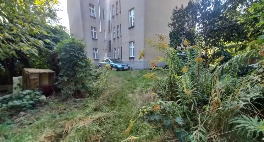 Budynek przy ul. Batorego w Toruniu, fot. ototorun.pl oraz Centrum Wsparcia Biznesu w Toruniu