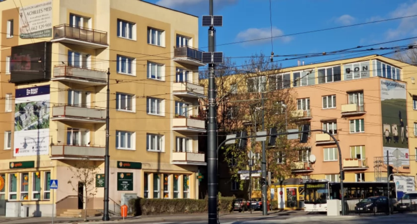 Fot. UM Toruń