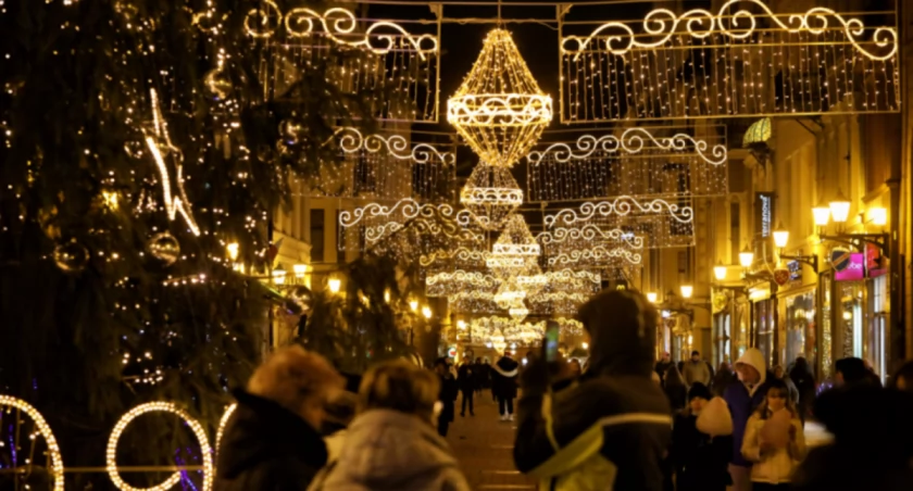 Fot. UM Toruń