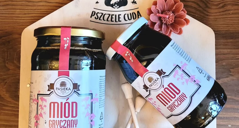 Miód gryczany, fot. Pzczele Cuda