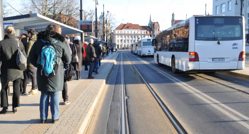 Fot. UM Toruń