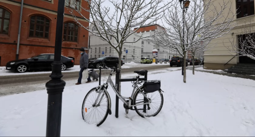 Fot. Sławomir Kowalski / UM Toruń