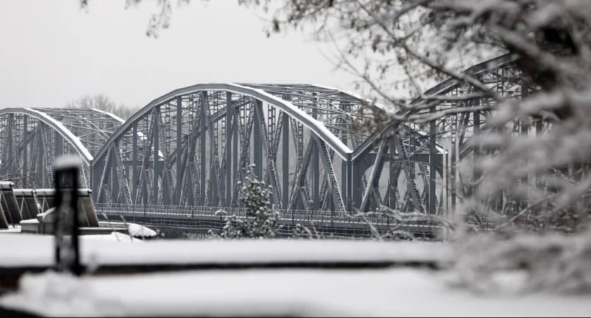 Fot. UM Toruń