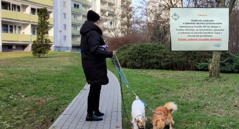Fot. Rada Okręgu Skarpa