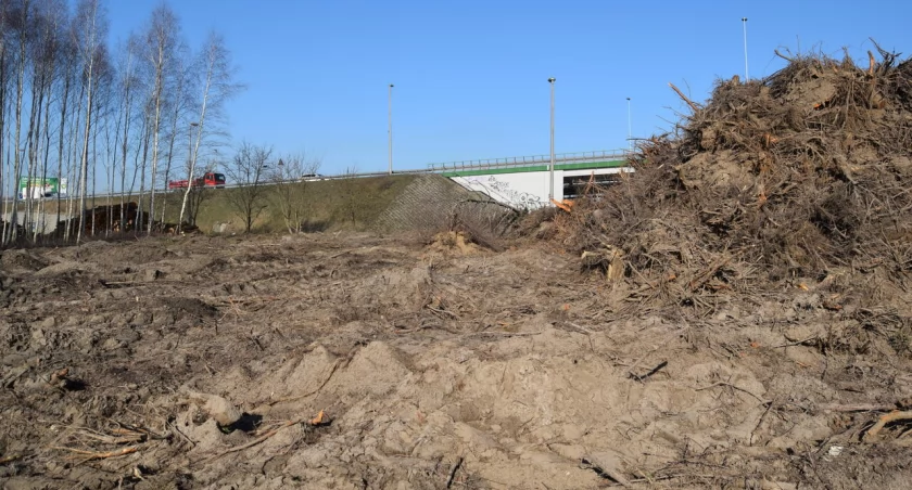 Pierwszy etap budowy drogi Toruń - Lubicz Dolny, fot. Bartosz Fryckowski / ototorun.pl