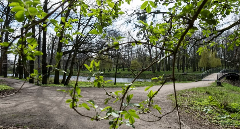 Fot. Wojtek Szabelski / Urząd Miasta