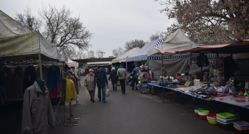 Fot. Bartosz Fryckowski / ototorun.pl 
