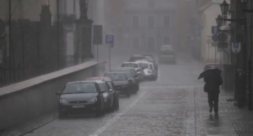Fot. UM Toruń