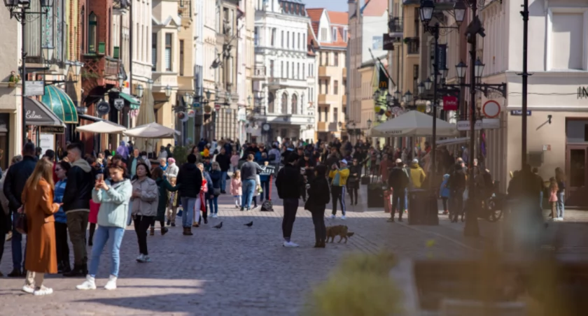 Fot. Agnieszka Bielecka / UM Toruń