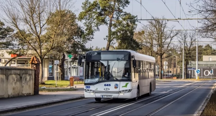 Autobus MZK w Toruniu. Fot. Jakub Lipski
