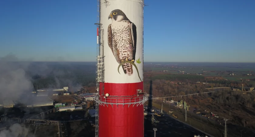 Mural sokoła wędrownego na nieczynnym kominie w Toruniu, fot. Karol Wielkanowski