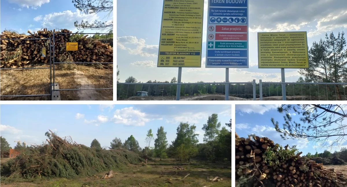 Przy ul. Grasera w Toruniu powstanie nowa szkoła, fot. ototorun.pl