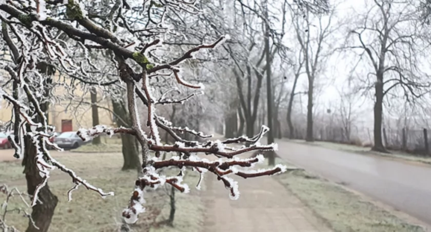 Fot. Urząd Miasta