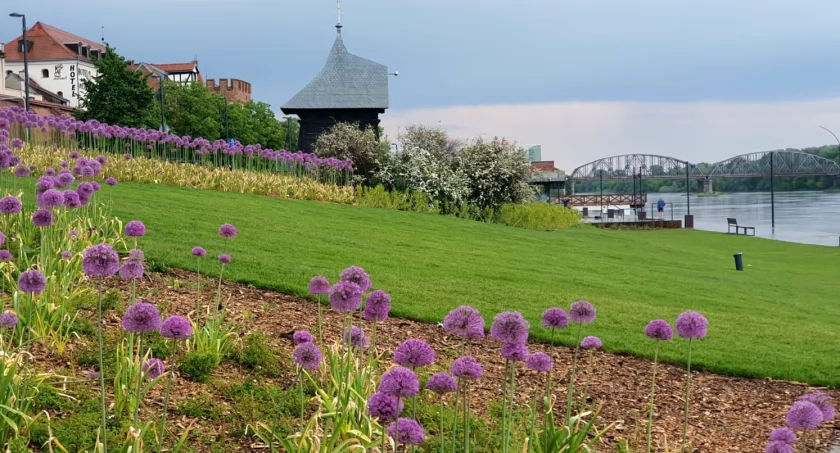Fot. UM Toruń