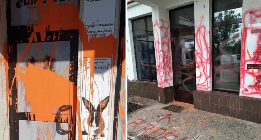 Fot. Przychodnia Weterynaryjna Dino-Vet