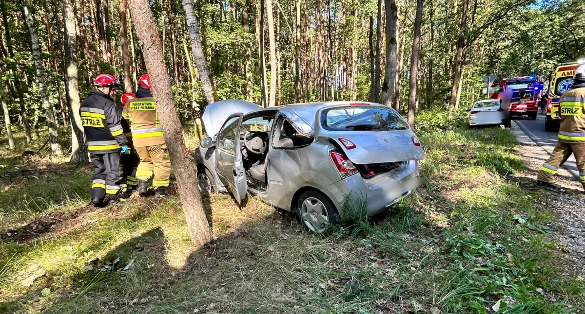 Wypadek w miejscowości Czarne Błoto, fot. KM PSP Toruń