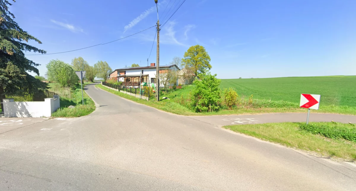 Droga w Kamionkach Dużych, fot. Screen z Google Maps