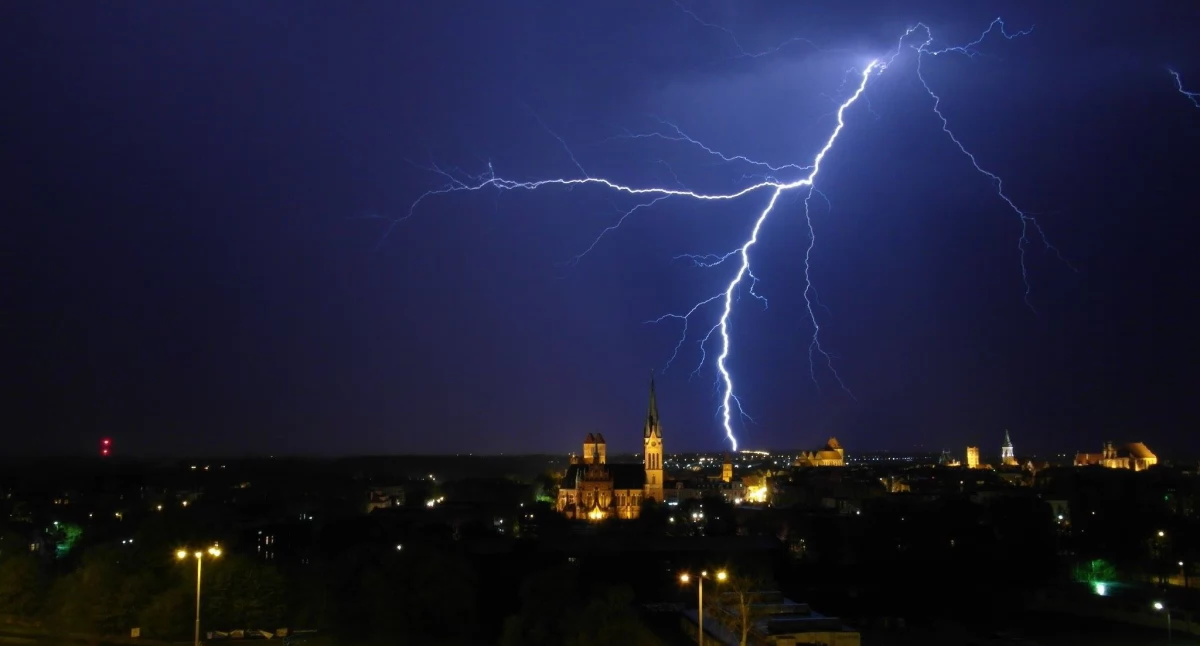 Fot. UM Toruń