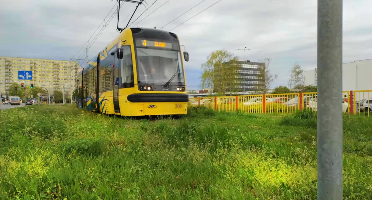Fot. MZK Toruń