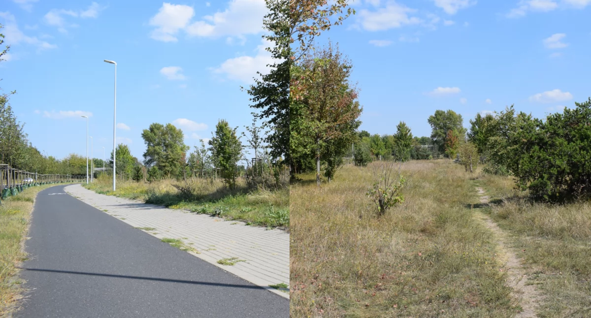 Teren przy Polnej, gdzie ma powstać park linearny, fot. Bartosz Fryckowski / ototorun.pl
