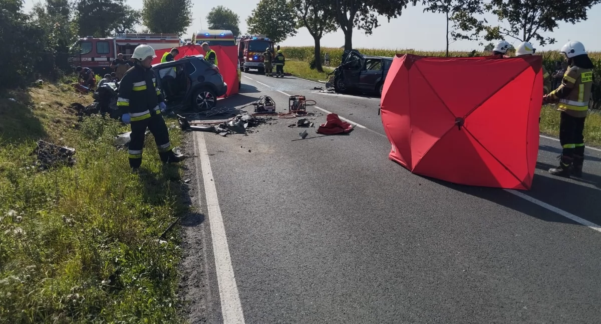 Fot. KP PSP w Golubiu Dobrzyniu