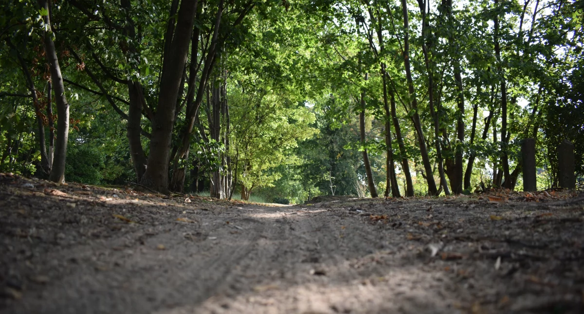 Park Bielawski, fot. Bartosz Fryckowski / ototorun.pl 