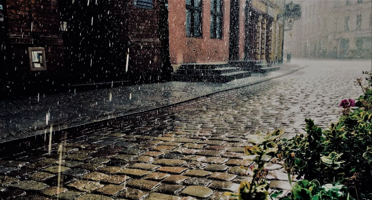 Fot. UM Toruń