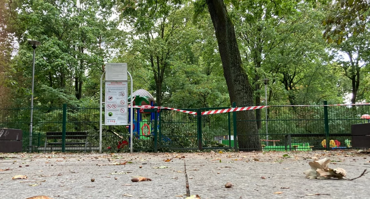 Plac zabaw w parku na Bydgoskim Przedmieściu, fot. nadesłane