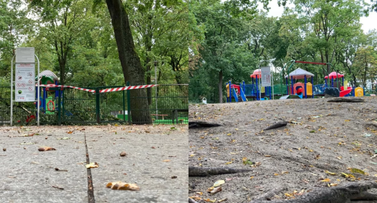 Place zabaw na Bydgoskim Przedmieściu w Toruniu