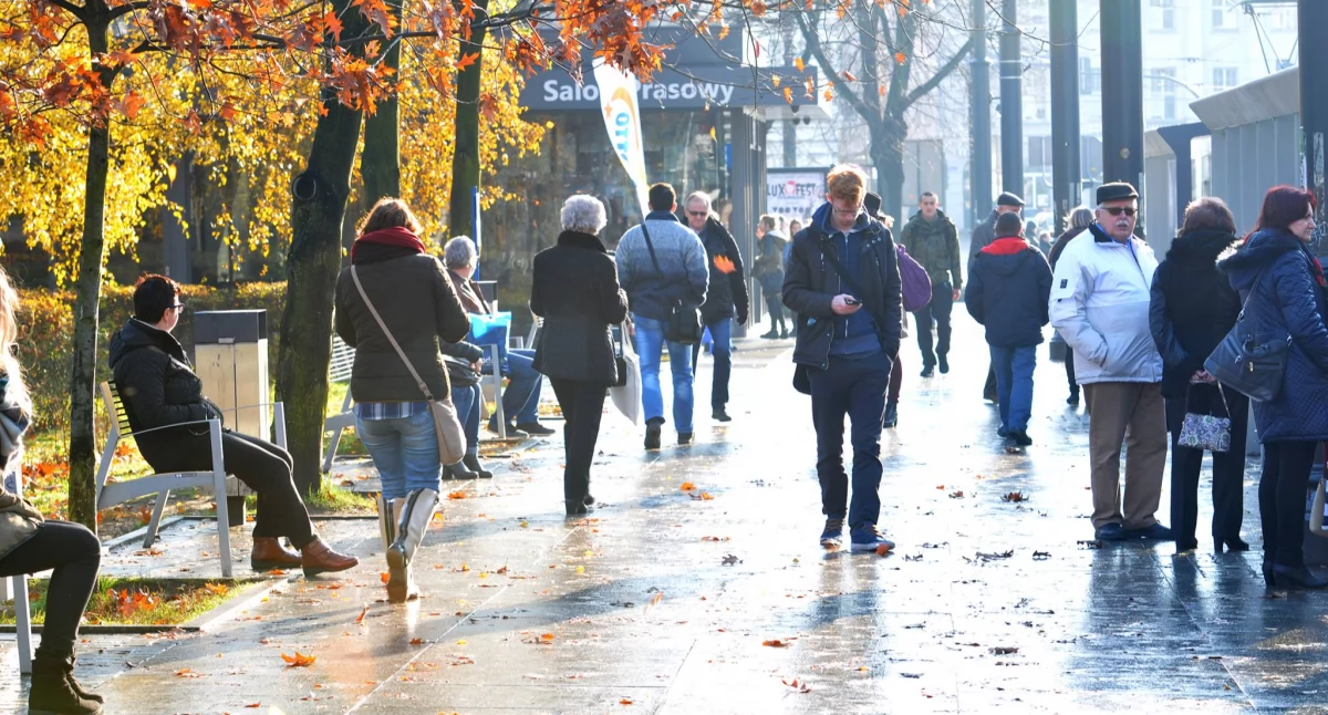 Fot. UM Toruń