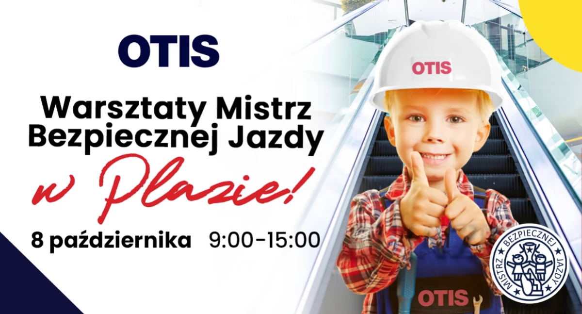 Źródło: Toruń Plaza