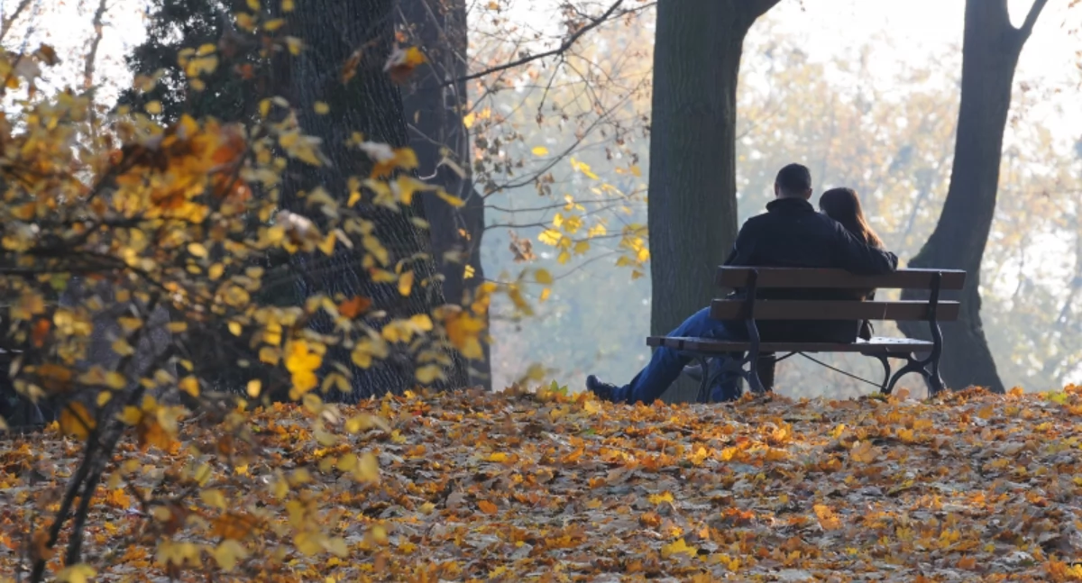 Fot. UM Toruń