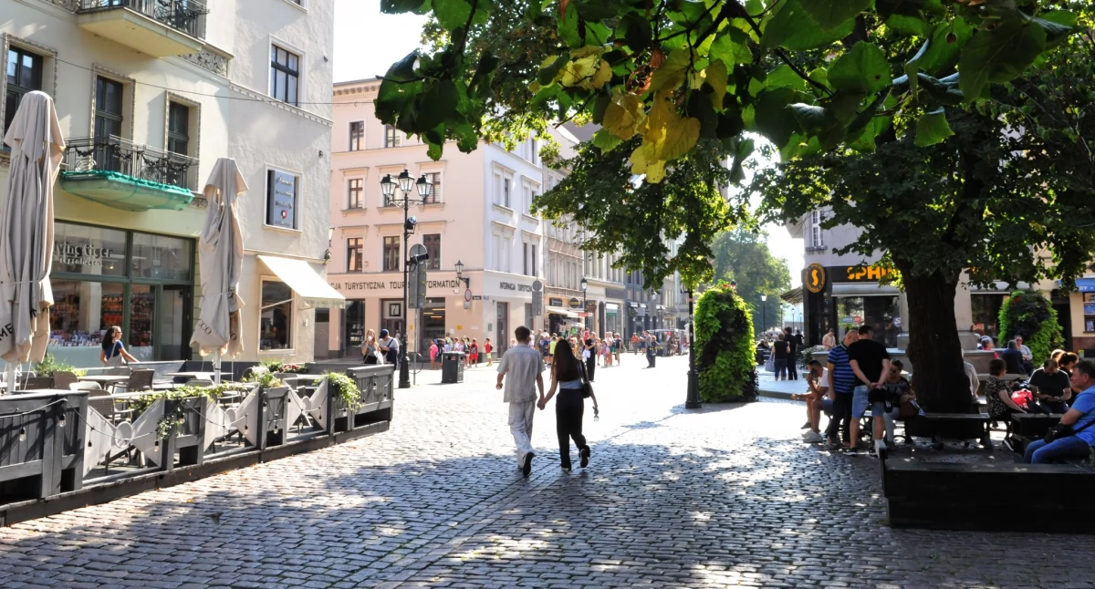 Fot. UM Toruń / Małgorzata Litwin, licencja: CC BY-NC 4.0